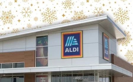 Top 11 New Aldi Christmas Decorations Arrive on Shelves This Week