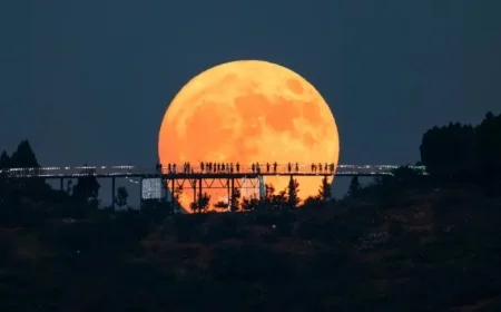 November’s Golden Supermoon Shines as Year’s Largest and Brightest