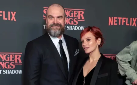 Lily Allen’s Album Reveals Truth Behind David Harbour Breakup