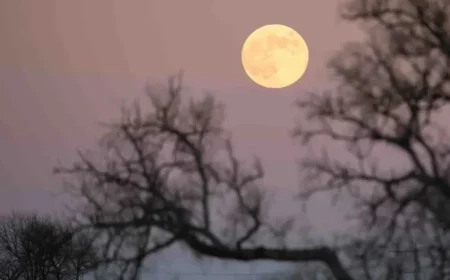 Witness Tonight’s Largest Supermoon: Is the Moon Full?