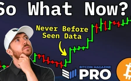 Bitcoin Price Cycle Data Unveils Upcoming Major Bull Run