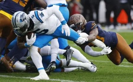 Panthers and Vikings Emerge as Top 2025 Underdog Winners