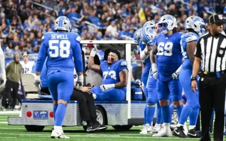 Detroit Lions Week 9 Snap Counts and Personnel Usage Against Vikings