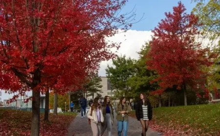 Report: University Area Rents Decline Rapidly as Foreign Student Caps Take Effect