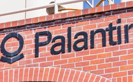 Palantir Stock Surges as Earnings Exceed Estimates with U.S. Government Growth