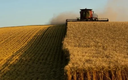 Opinion: Prediction Markets Revolutionize 21st Century Futures Trading