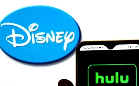 Disney+ and Hulu: November Streaming Highlights