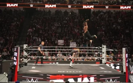 WWE Star Makes Triumphant Raw Return Post-Injury