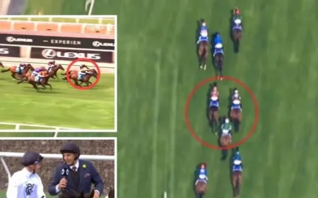 Chaos Erupts at Flemington as Racegoers Unleash Mayhem