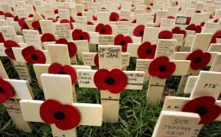 BBC Commemorates Remembrance Week 2025