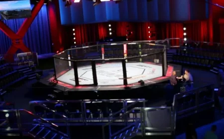 Sportsbooks Refund UFC Bets Amid Suspicious Activity Concerns