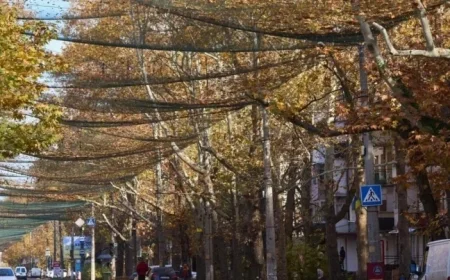 Ukrainian Drones Penetrate Deep Russia Amidst Fierce Key City Battle