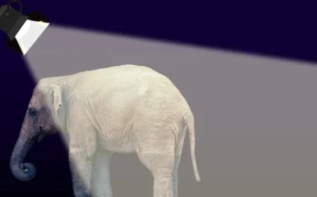 Arctic Frost Sparks Controversy