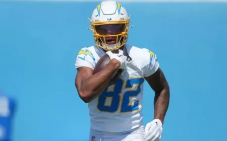 Patriots Sign Wide Receiver Brenden Rice