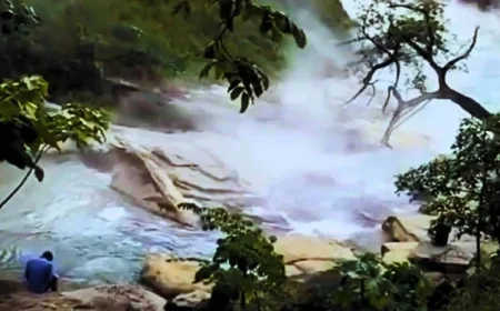 Amazon River Reaches 90°C, Boiling Wildlife in Extreme Heat Zone