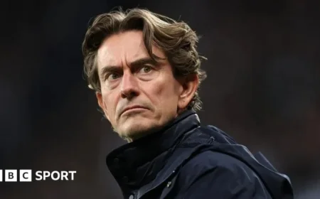 Should Players Publicly Dismiss Their Manager? Exploring the Impact