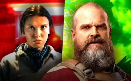 David Harbour Faces Controversy After Accusations by Millie Bobby Brown (Report)