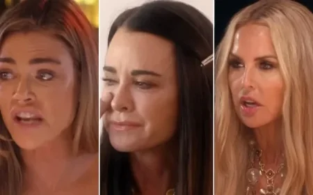 Rachel Zoe Cast in Show; Denise Richards Back After Divorce