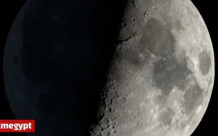 First Quarter Moon Lights Up Sky on Wednesday, October 29