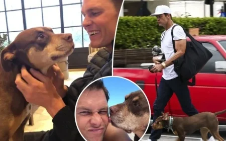Tom Brady Clones Beloved Late Dog to Welcome New Pooch
