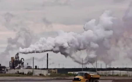 Live Updates: Minneapolis Mayor Election Results 2025