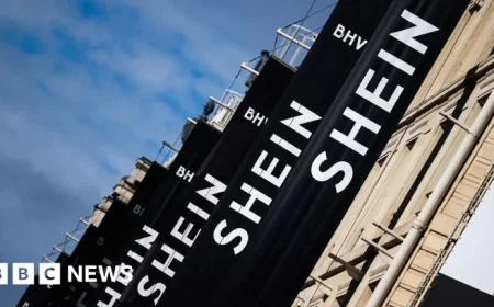 France Probes Shein, Temu Amid Sex Doll Scandal