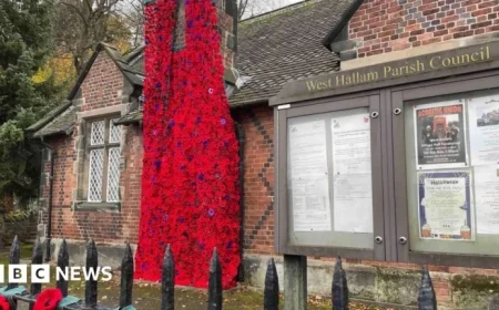 Thousands of Knitted Poppies Enhance Remembrance Display