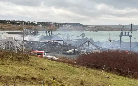 N.L.’s Southern Shore Prepares for More Storms After Devastating Night