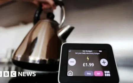 Regulator Intervenes Amid Basingstoke’s Tomato Energy Collapse