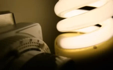 Tomato Energy Collapse Affects 24,000 Customers