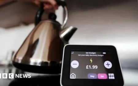 Regulator Intervenes Amid Collapse of Basingstoke’s Tomato Energy