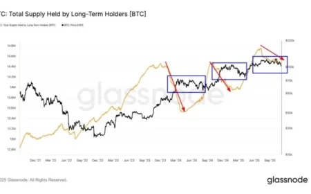 BTC Price Corrections Triggered by Emerging Pattern Since Late 2023