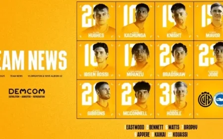 Brighton U21s Host Home Match: Team News