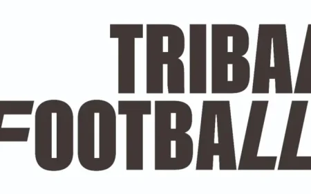 Atalanta Triumphs Over Marseille Amid Lookman and Juric Clash