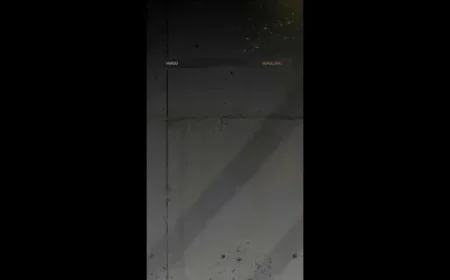 Vasco Announces Starting Lineup Against Botafogo: Rodríguez, Barros, Vegetti Lead