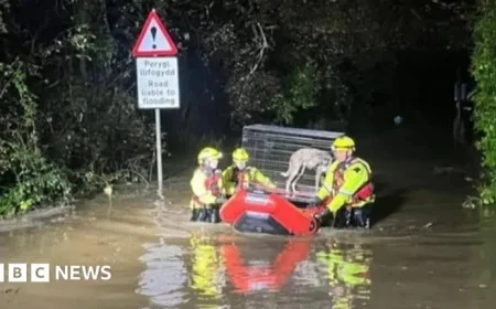 Heavy Rain Floods Carmarthenshire, Trapping Dogs in Rescue Centre