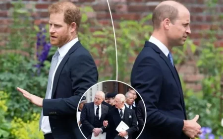 Source Suggests Prince Harry Might Lose Title Like Andrew
