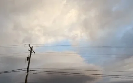 Celtics’ Josh Minott Shines Among NBA’s Top 10 Early Season Performers