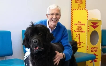 ITV Faces Backlash Over Alison Hammond’s Role After Paul O’Grady’s Passing