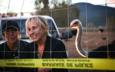 B.C. Ostrich Cull: From Flu Outbreak to ‘Ostrichfest’ and High Court