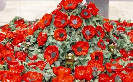 Bracknell Hosts Remembrance Sunday Events