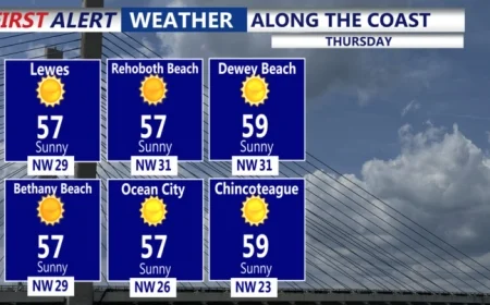 Thursday Weather: Windy Morning, Sunny Afternoon, Frosty Friday Ahead