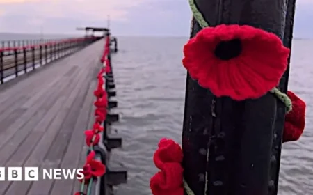 Stunning 110,000-Poppy Display Unveiled on Southend Pier in Video