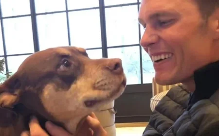 Tom Brady’s Dog Cloning: Costs and DIY Guide Revealed