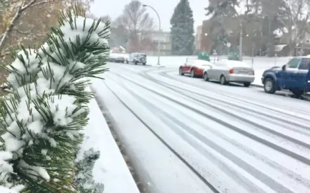 Edmonton Prepares for Overnight Rain and Snow Before Thursday Commute