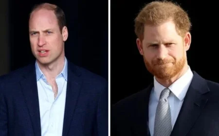 Prince Harry Faces Potential Loss of HRH Title