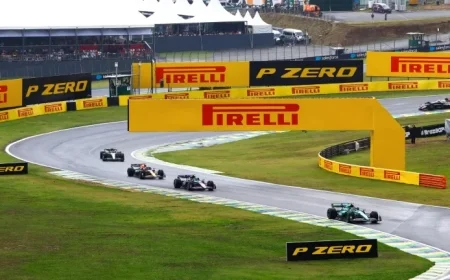 Key Facts and Stats for 2025 Sao Paulo Grand Prix