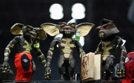 Miss Universe Contestants Depart: Controversy Surrounding Miss Mexico Explained