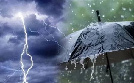 Beware Weather Fluctuations: Meteorology Reveals Next Week’s Forecast Details