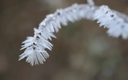 Severe Storms, Tornado Threat for Mississippi Friday; Freeze Expected Next Week